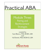 Practical ABA: Pairing and Reinforcement Strategies: Digital Download