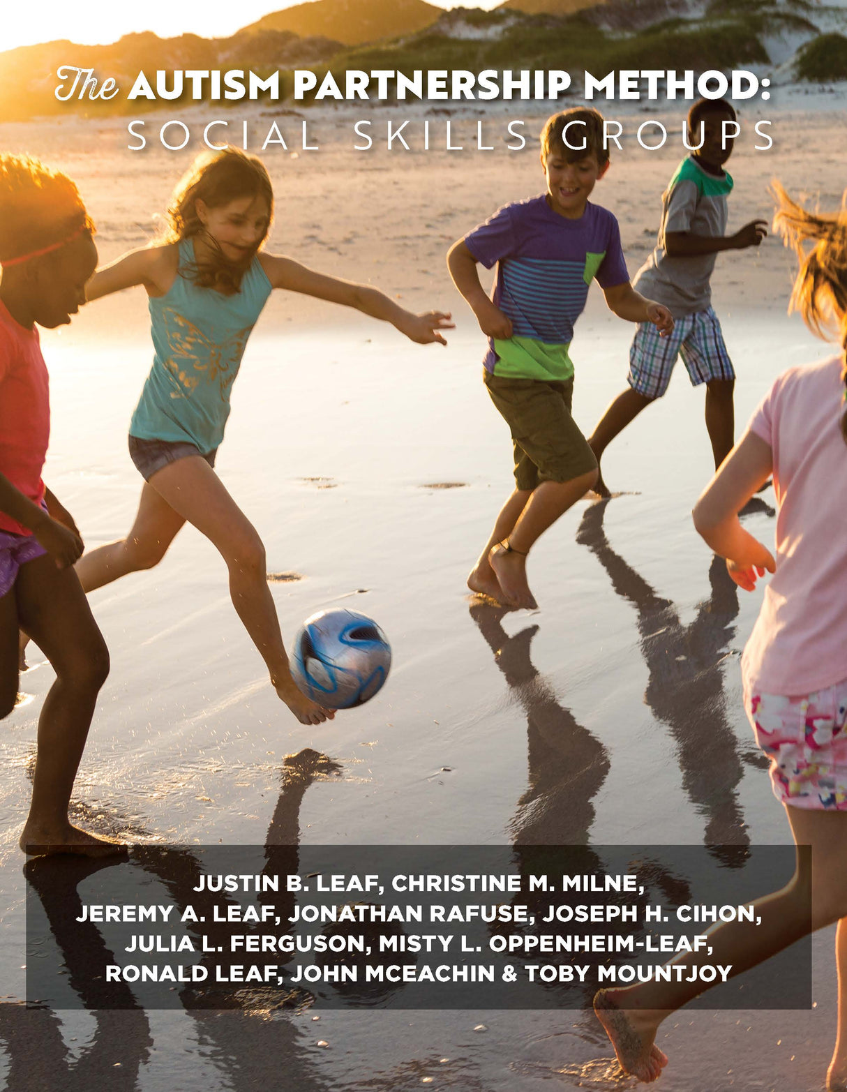 Autism Partnership Method: Social Skills Groups (A Digital Download)