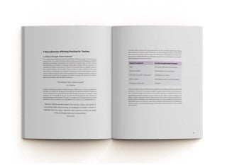Behavior Essentials, Visualized: A Teacher’s Guide to Supporting Students with Diverse Needs