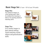 Language Builder: Picture Nouns