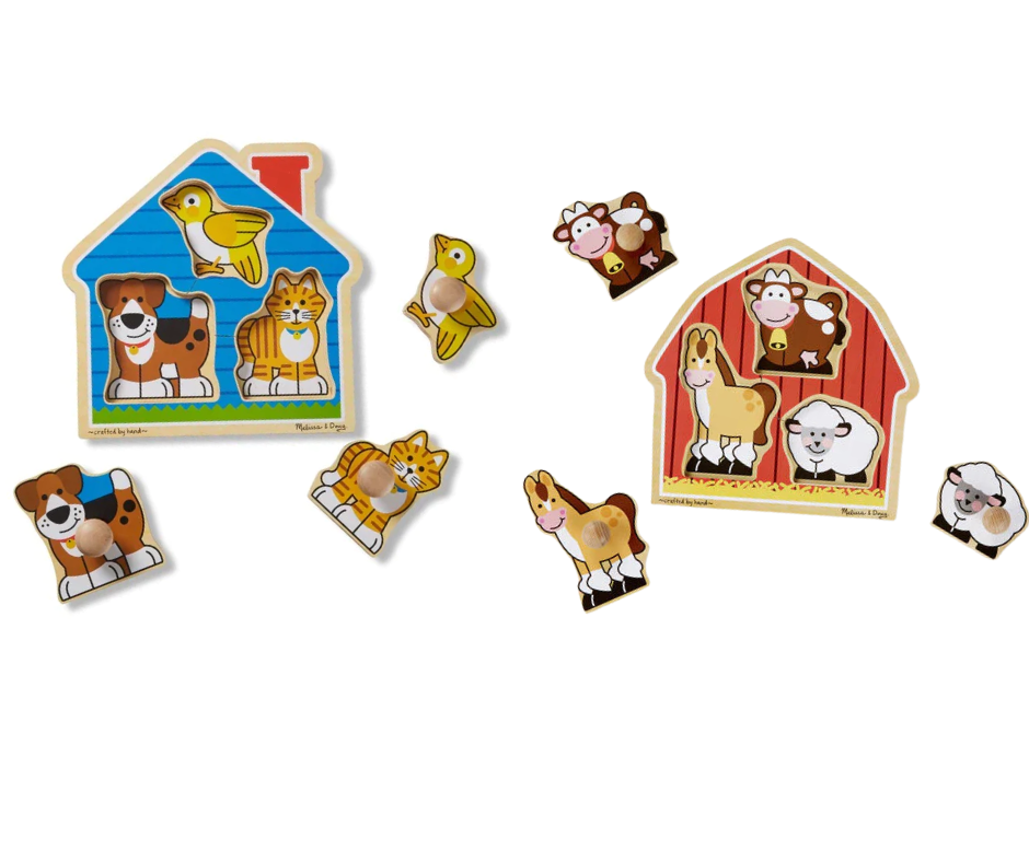 Jumbo Knob Puzzles Duo