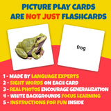 Advanced Nouns Picture Flash Cards