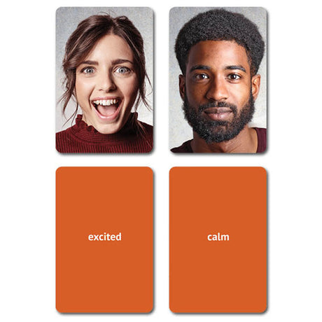 Emotions Flashcards 2 Volume Set