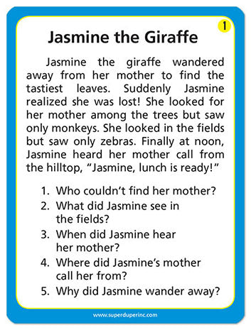 Auditory Memory WH? Fun Deck